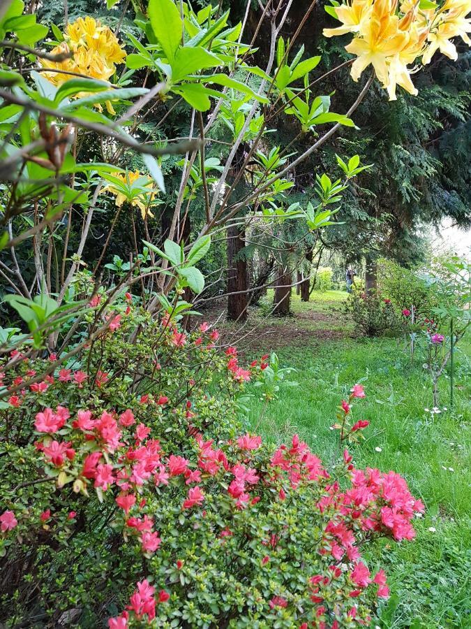 B&B Gloria Gallarate Exterior foto